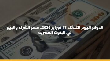 الدولار اليوم الثلاثاء 17 فبراير 2026.. سعر الشراء والبيع في البنوك المصرية