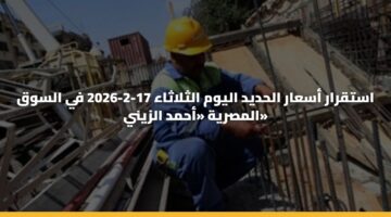 استقرار أسعار الحديد اليوم الثلاثاء 17-2-2026 في السوق المصرية «أحمد الزيني»