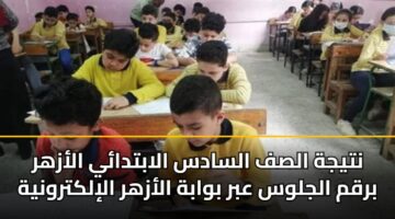 نتيجة الصف السادس الابتدائي الأزهر برقم الجلوس عبر بوابة الأزهر الإلكترونية