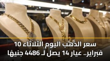 سعر الذهب اليوم الثلاثاء 10 فبراير.. عيار 14 يسجل 4486 جنيهًا
