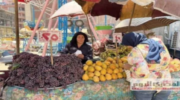 أسعار الخضار والفاكهة في الشرقية اليوم: الطماطم تسجل [25 جنيهاً] كحد أقصى للتجزئة