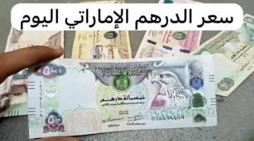سعر الدرهم الإماراتي مقابل الجنيه يستقر عند 14.27 للبيع «بيانات رسمية»